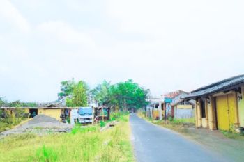 Tanah Jogja Murah, Sleman Hanya 400 Jutaan Akses Mudah