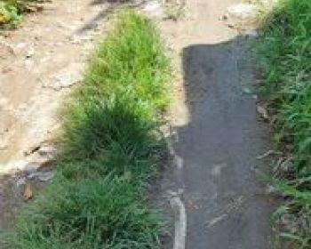 TANAH TANDEG BERAWA CANGGU