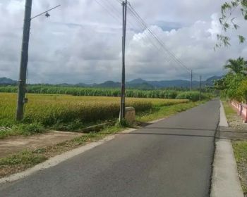 DI JUAL TANAH STRATEGIS DEKAT BANDARA YIA TEMON KP