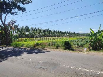 Tanah Zona Merah SHM - Sertifikat Hak Milik 2210 M²