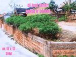 thumbnail-tanah-murah-lokasi-di-jl-bakti-0