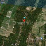 thumbnail-tanah-12-hektar-perkebunan-di-penebel-tabanan-1