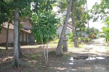 Di Jual Tanah Murah Di Dekat Simpang Tiga Toyan Wates