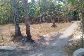 pekarangan dekat wisata lalisa farmer jalan wates