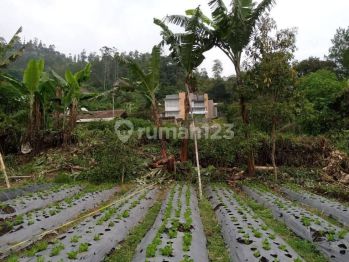 Tanah Kavling Luas 60m2 SHM di Lembang Bandung