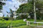 thumbnail-tanah-hook-bukit-panderman-4