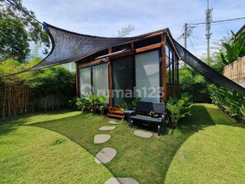 Wooden House Semi Villa In Kerobokan Badung Bali