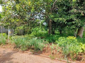 Tanah Dijual di Jl Karangrejo Banyumanik Belakang RS Hermina