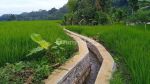 thumbnail-tanah-sawah-aktif-di-desa-ciapus-banjaran-bandung-1193-m2-shm-2