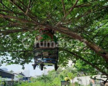 DIJUAL TANAH RAYA KENJERAN DEKAT MERR DAN TOL BANDARA JUANDA