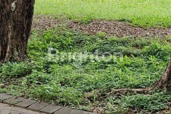 Tanah kavling di Perumahan Darmo Hill