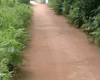 Dijual Cepat Lahan Murah Luas 500 Cisaat Setu Bekasi Timur