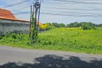 thumbnail-leashold-land-in-canggu-long-term-price-under-market-2