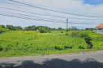 thumbnail-leashold-land-in-canggu-long-term-price-under-market-6