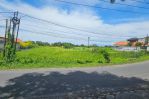 thumbnail-leashold-land-in-canggu-long-term-price-under-market-0