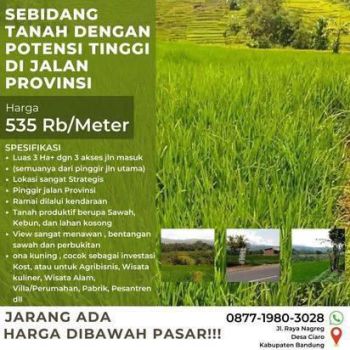 Sebidang tanah dengan 2 akses masuk di pinggir jalan provinsi ramai dilalui