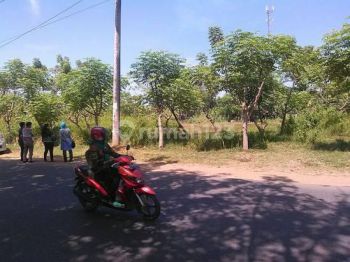 Tanah sudut Tanjung Bunga