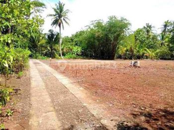 Tanah SHM Murah Dekat Stasiun Cicayur Promo 950 Rb An Per Meter.