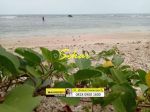 thumbnail-the-one-and-only-tanah-murah-pantai-carita-untuk-bangun-resort-4