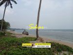 thumbnail-the-one-and-only-tanah-murah-pantai-carita-untuk-bangun-resort-2