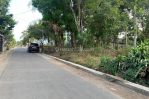 thumbnail-tanah-di-kalasan-2-jutaan-dekat-jalan-jogja-solo-3