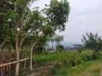 thumbnail-tanah-murah-view-bagus-lokasi-strategis-di-area-wisata-bns-batu-6