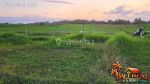 thumbnail-dekat-pantai-3700-m2-view-laut-sawah-dan-gunung-1