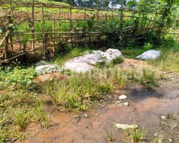 3Ha.SHM Tanah Di Jual Di Kec.Jasinga-Bogor Barat