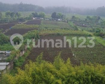 Tanah View pegunungan di jl Abdulgani atas Kota Batu