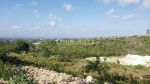 thumbnail-balangan-full-view-land-for-sale-9