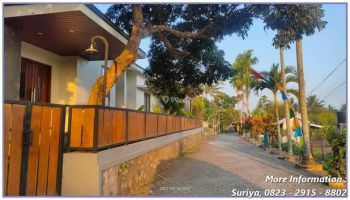 Jual Tanah Sleman Dekat Museum Merapi