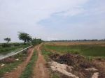 thumbnail-36-bidang-tanah-di-jl-raya-kronjo-bakung-tangerang-3