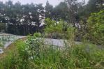 thumbnail-lokasi-buat-resto-villa-sejuk-bates-kebun-pinus-di-caringin-bogor-selatan-5