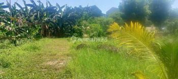 Tanah Kavling Murah Dijual Cepat Dekat Bintaro Tangerang Selatan