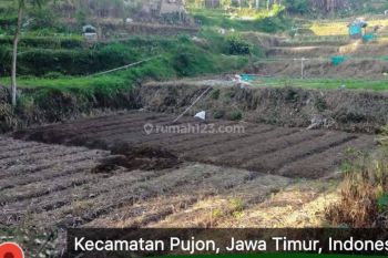 Tanah Luas poros Jalan Raya di Pujon Malang