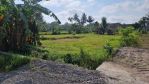 thumbnail-hot-area-sleman-shmp-pekarangan-akses-mobil-lebar-5m-303-m2-4