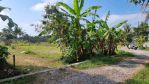 thumbnail-hot-area-sleman-shmp-pekarangan-akses-mobil-lebar-5m-303-m2-3