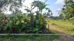 thumbnail-hot-area-sleman-shmp-pekarangan-akses-mobil-lebar-5m-303-m2-1