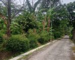thumbnail-tanah-shm-murah-klaten-5