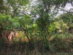 thumbnail-tanah-kaveling-murah-siap-bangun-dekat-bintaro-bsd-8
